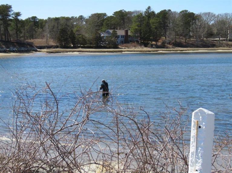 6 Willowford Road South Dennis, MA 02660 - Photo 24 of 28 Additional Photo