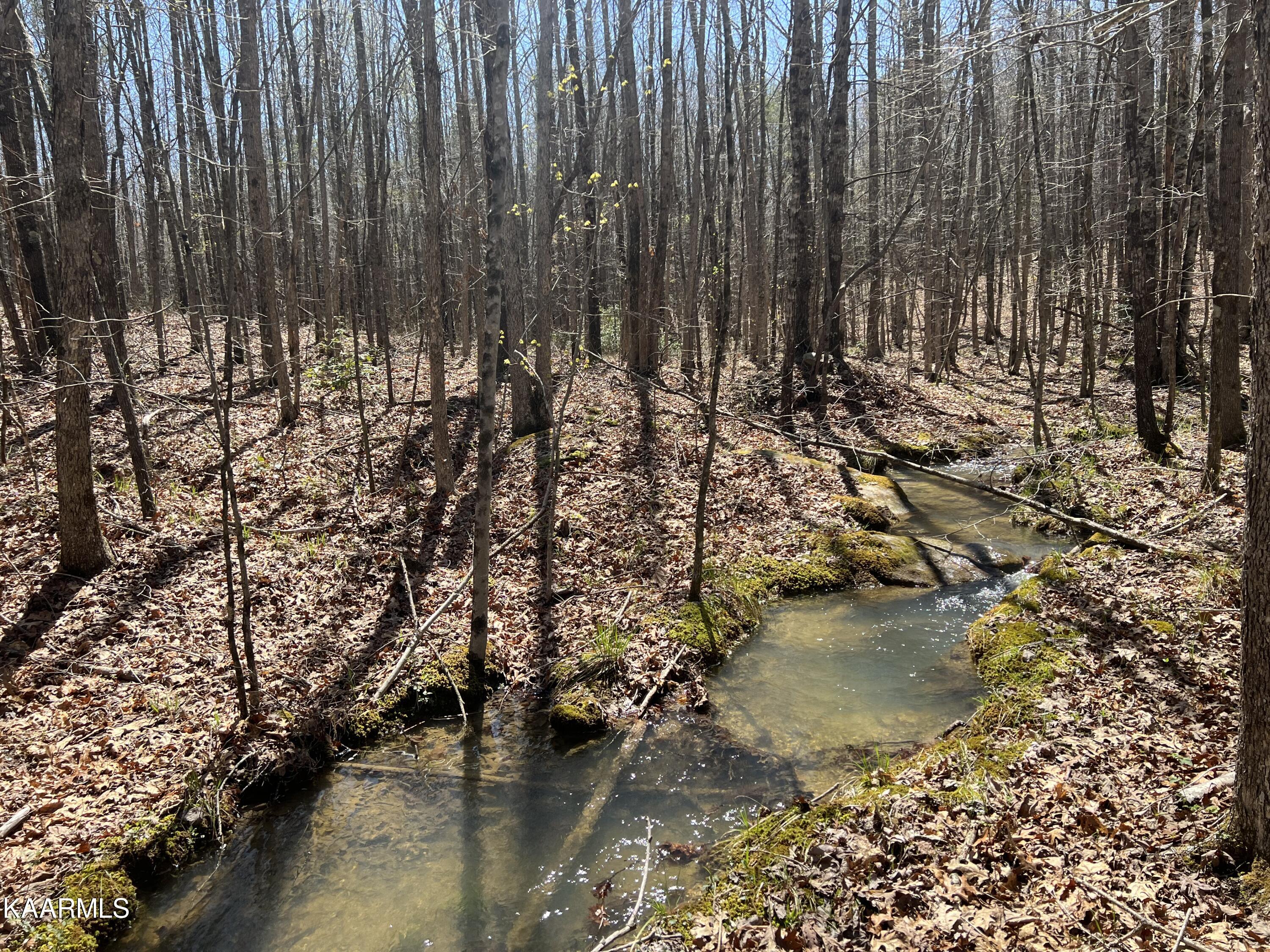 Panther Falls Road Wilder, TN 38589 - Photo 9 of 22 93F22EE8-2A8E-4E2E-9896-FB98DF6FE2C8