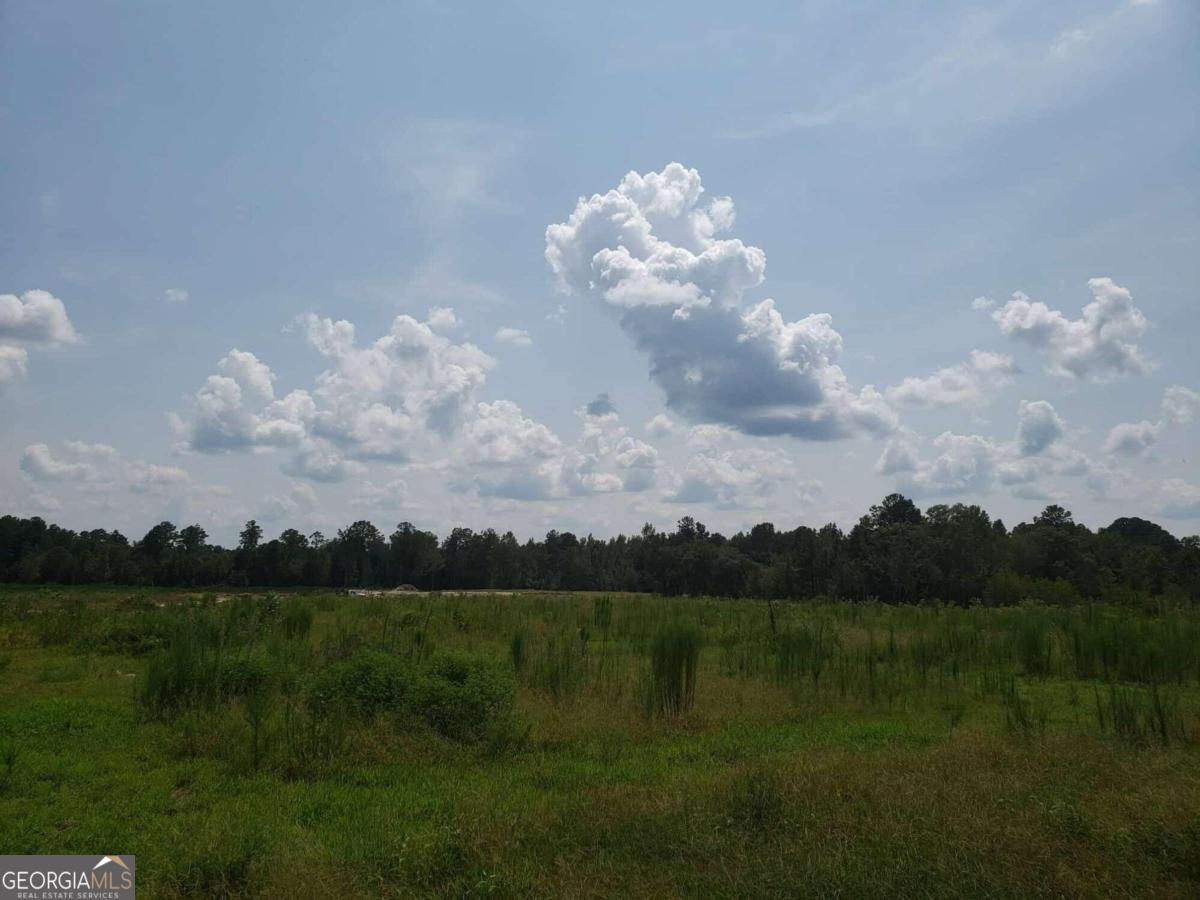 0 Bethel Freewill Road Baxley, GA 31513 - Photo 1 of 1 a view of lake