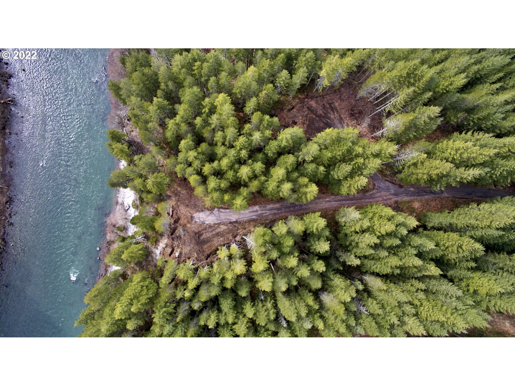 a black and white photo of a green field