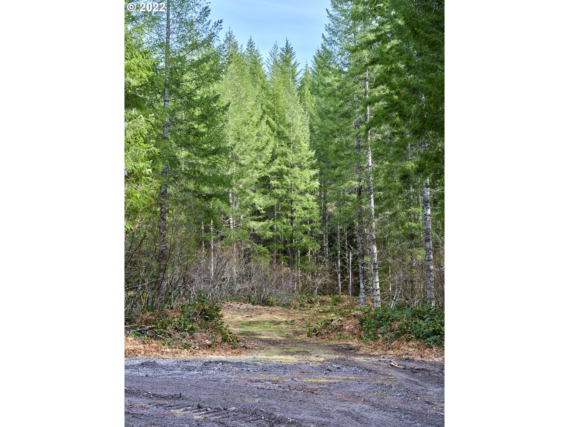 3 Lahar Lane Cougar, WA 98616 - Photo 11 of 22 a view of backyard with green space