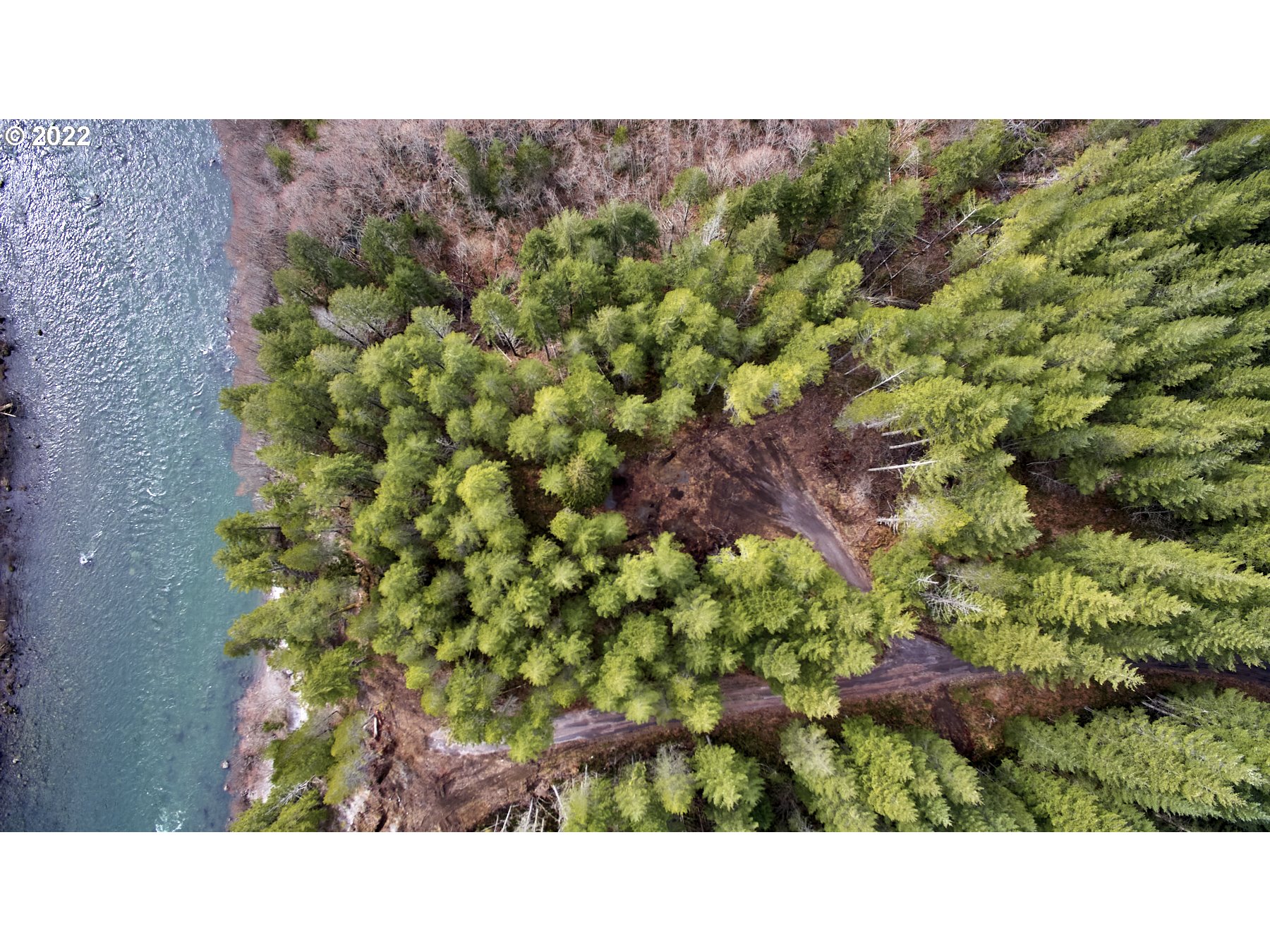 3 Lahar Lane Cougar, WA 98616 - Photo 2 of 22 a open area with a bench and trees