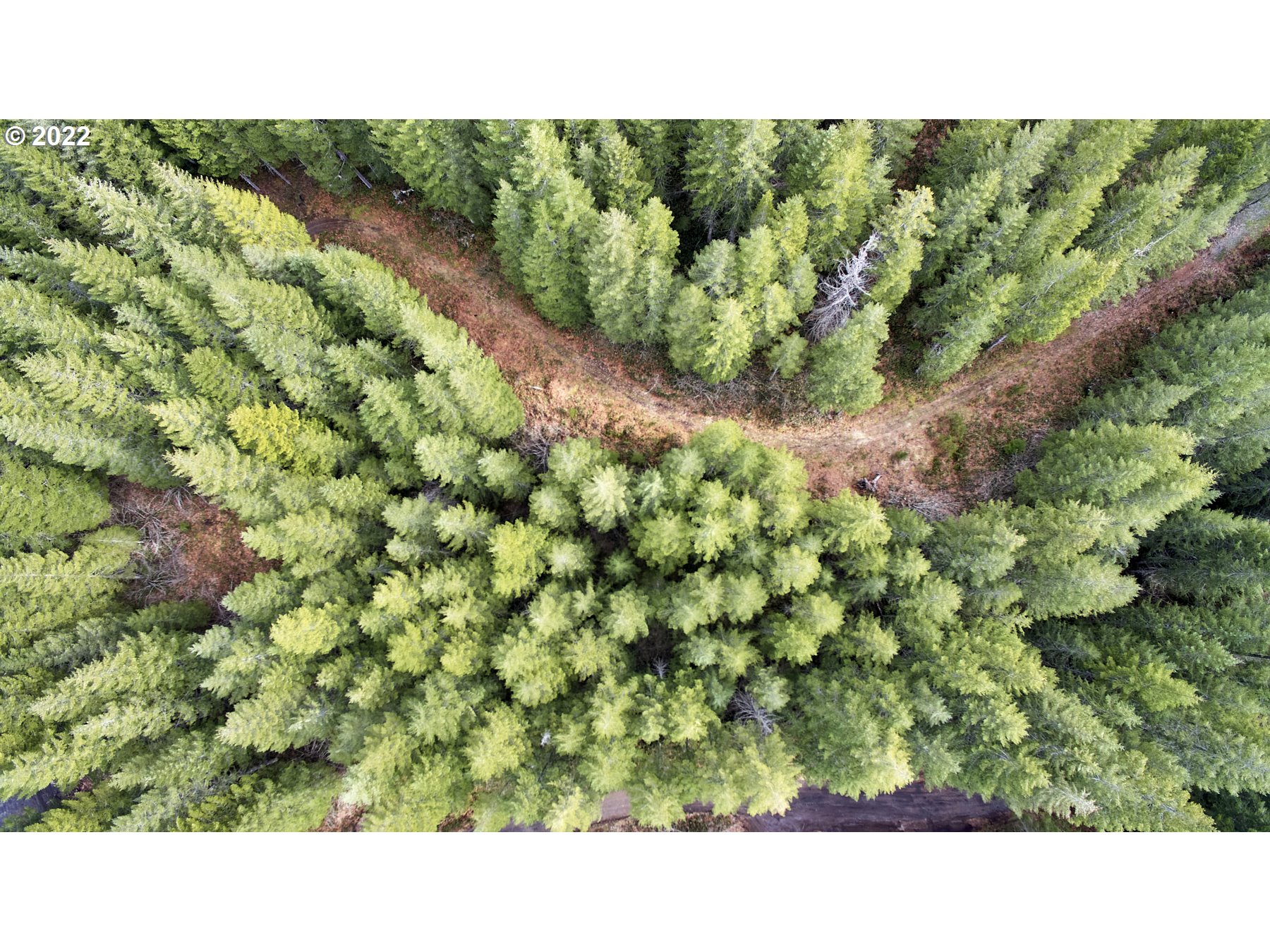 3 Lahar Lane Cougar, WA 98616 - Photo 3 of 22 a picture of a park