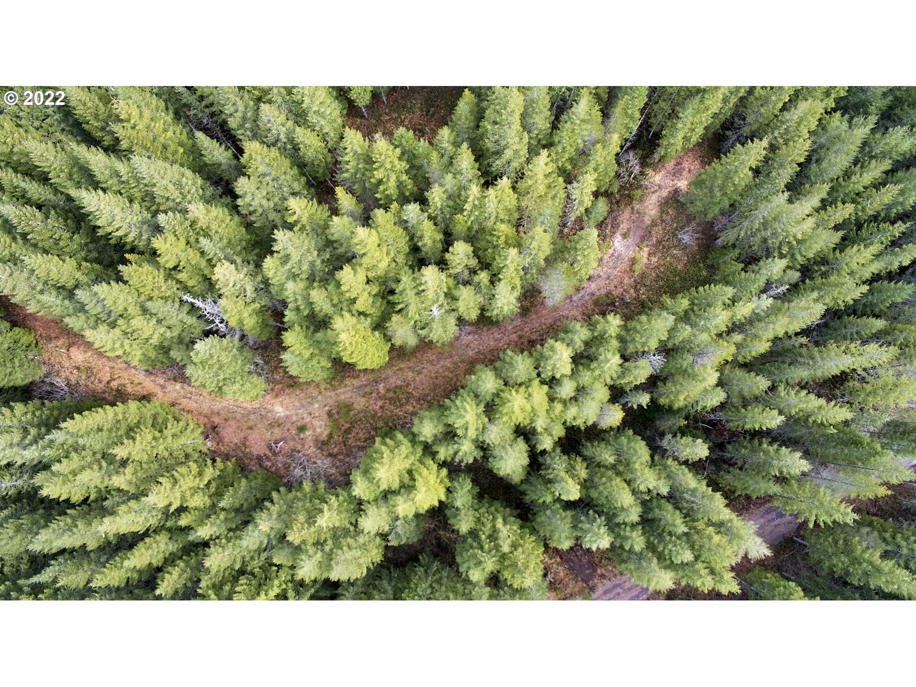 3 Lahar Lane Cougar, WA 98616 - Photo 4 of 22 a picture of a park