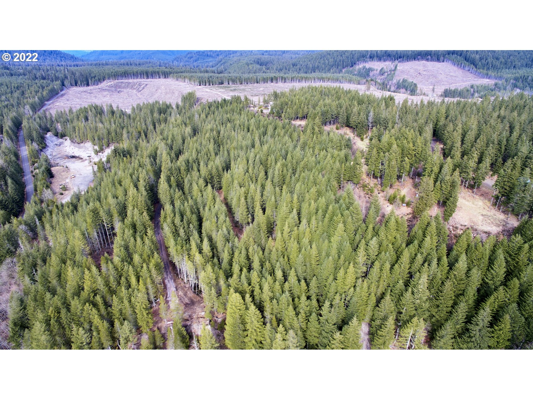 3 Lahar Lane Cougar, WA 98616 - Photo 9 of 22 a black and white photo of a park