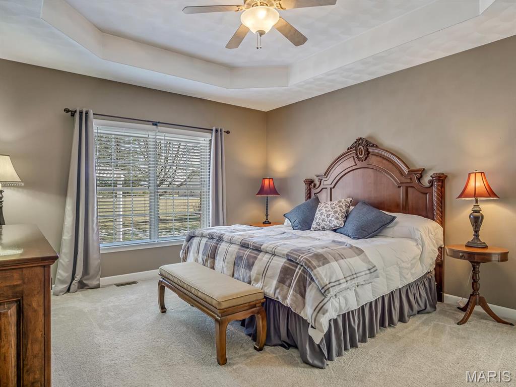 4220 Knab Road Smithton, IL 62285 - Photo 12 of 46