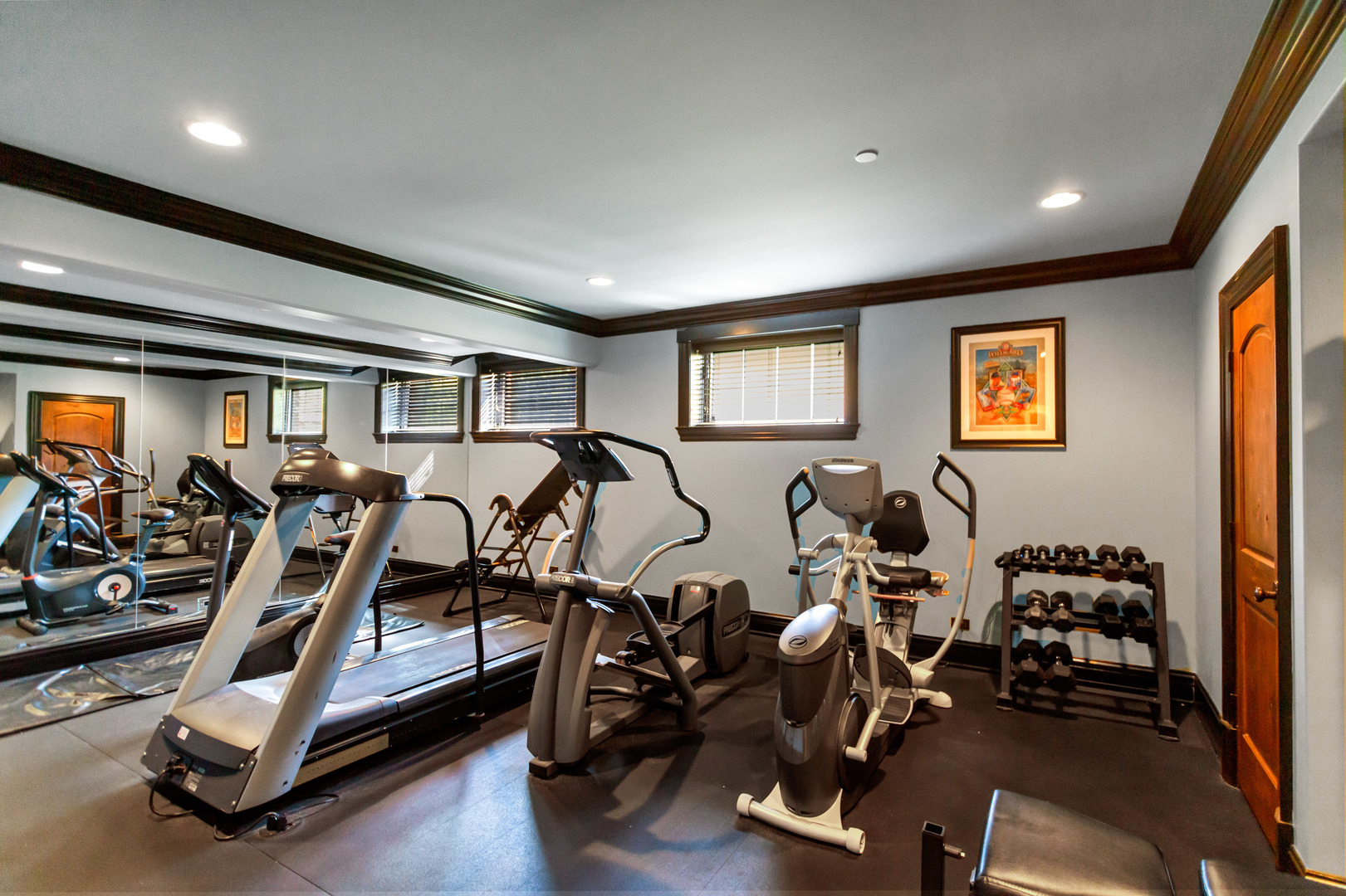 400 West Maple Avenue Roselle, IL 60172 - Photo 72 of 91 a view of a room with gym equipment