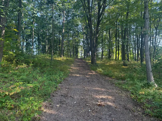 $199,900 | 1014 Pueblo Pass, Lake Isabella, MI 48893