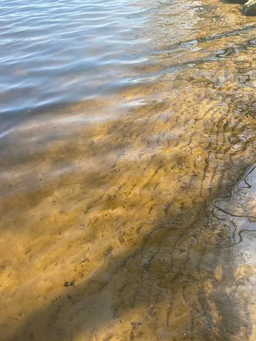 $199,900 | 1014 Pueblo Pass, Lake Isabella, MI 48893