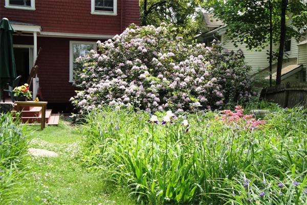 36 Laurel Street Somerville, MA 02143 - Photo 19 of 30