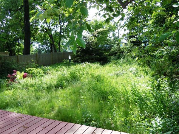 36 Laurel Street Somerville, MA 02143 - Photo 30 of 30