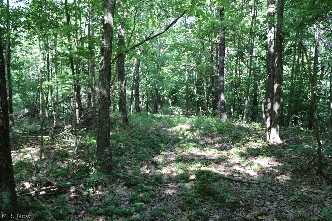 Lick Run Road Newcomerstown, OH 43832 - Photo 20 of 23 Gallery Image 20