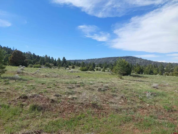 a view of a field with trees in background