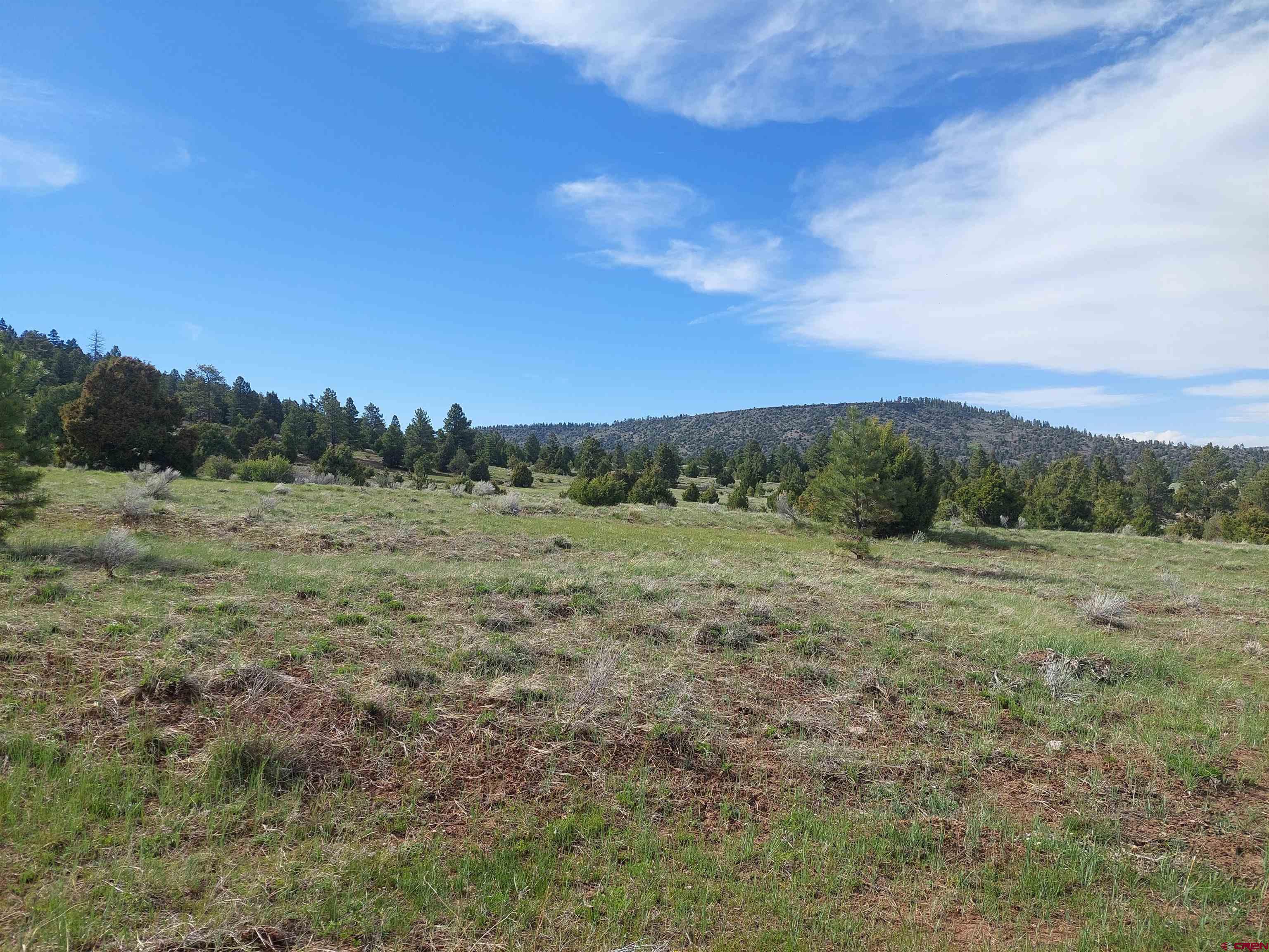 1195 Rito Hondo Road Antonito, CO 81120 - Photo 11 of 23 a view of a field with trees in background