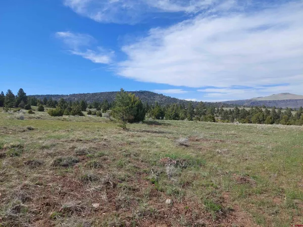 a view of a field with trees in background