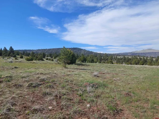 a view of a field with trees in background