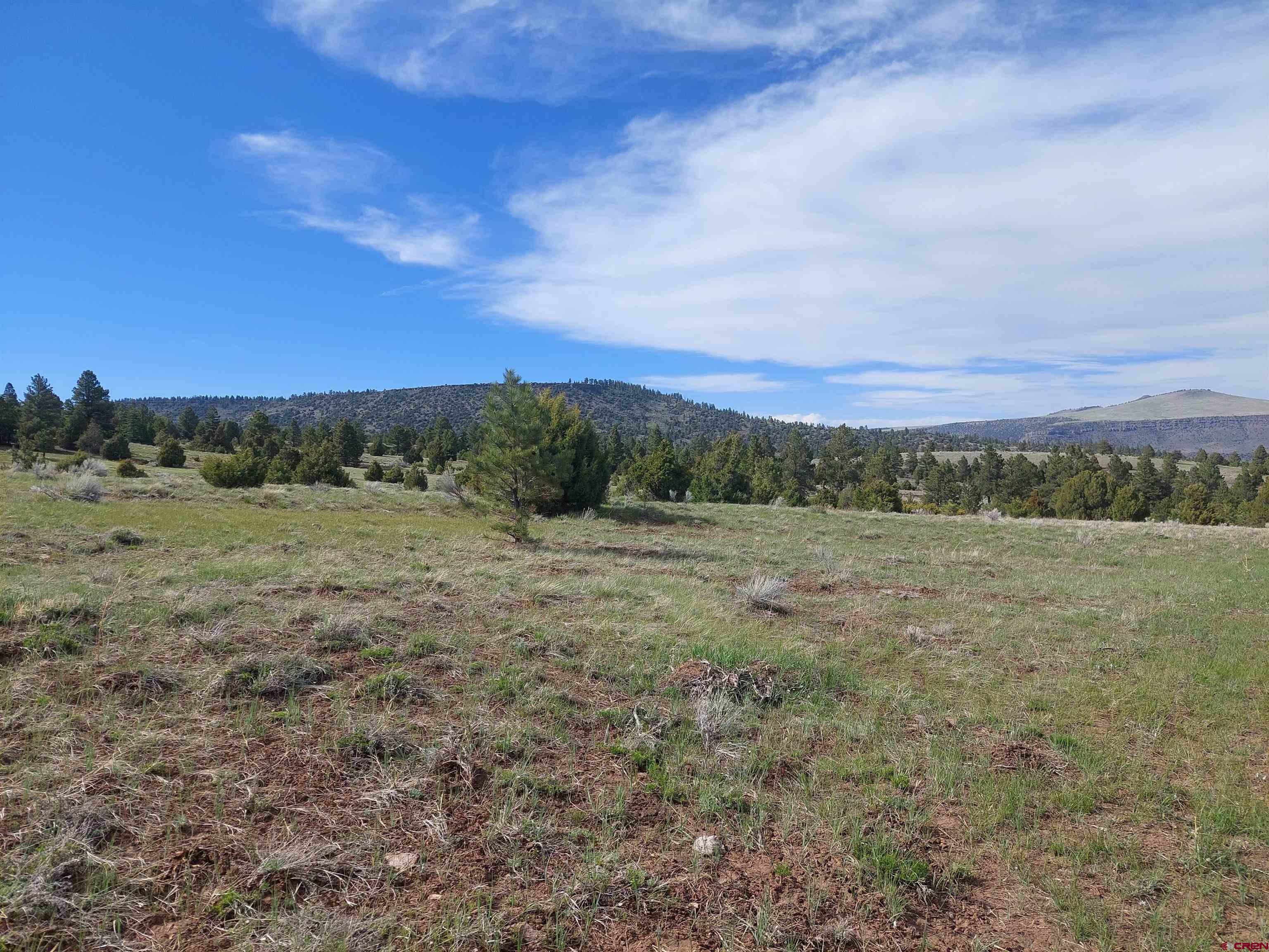 1195 Rito Hondo Road Antonito, CO 81120 - Photo 12 of 23 a view of a field with trees in background