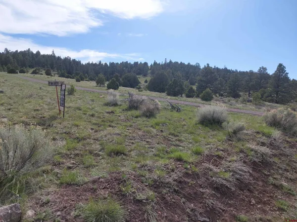 a view of an outdoor space with green field and trees