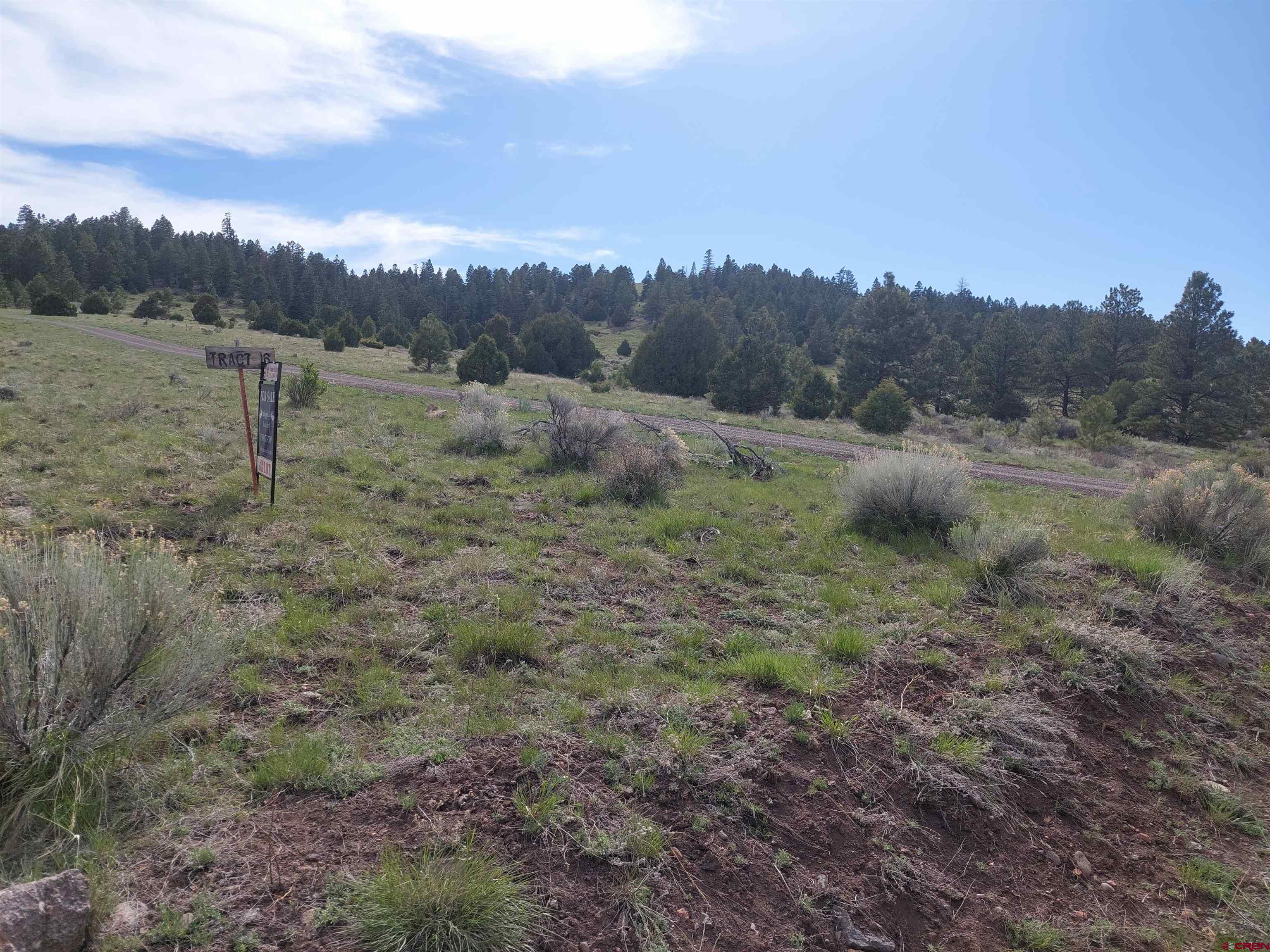 1195 Rito Hondo Road Antonito, CO 81120 - Photo 13 of 23 a view of an outdoor space with green field and trees