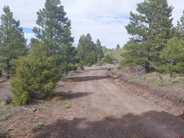 a view of outdoor space with trees all around