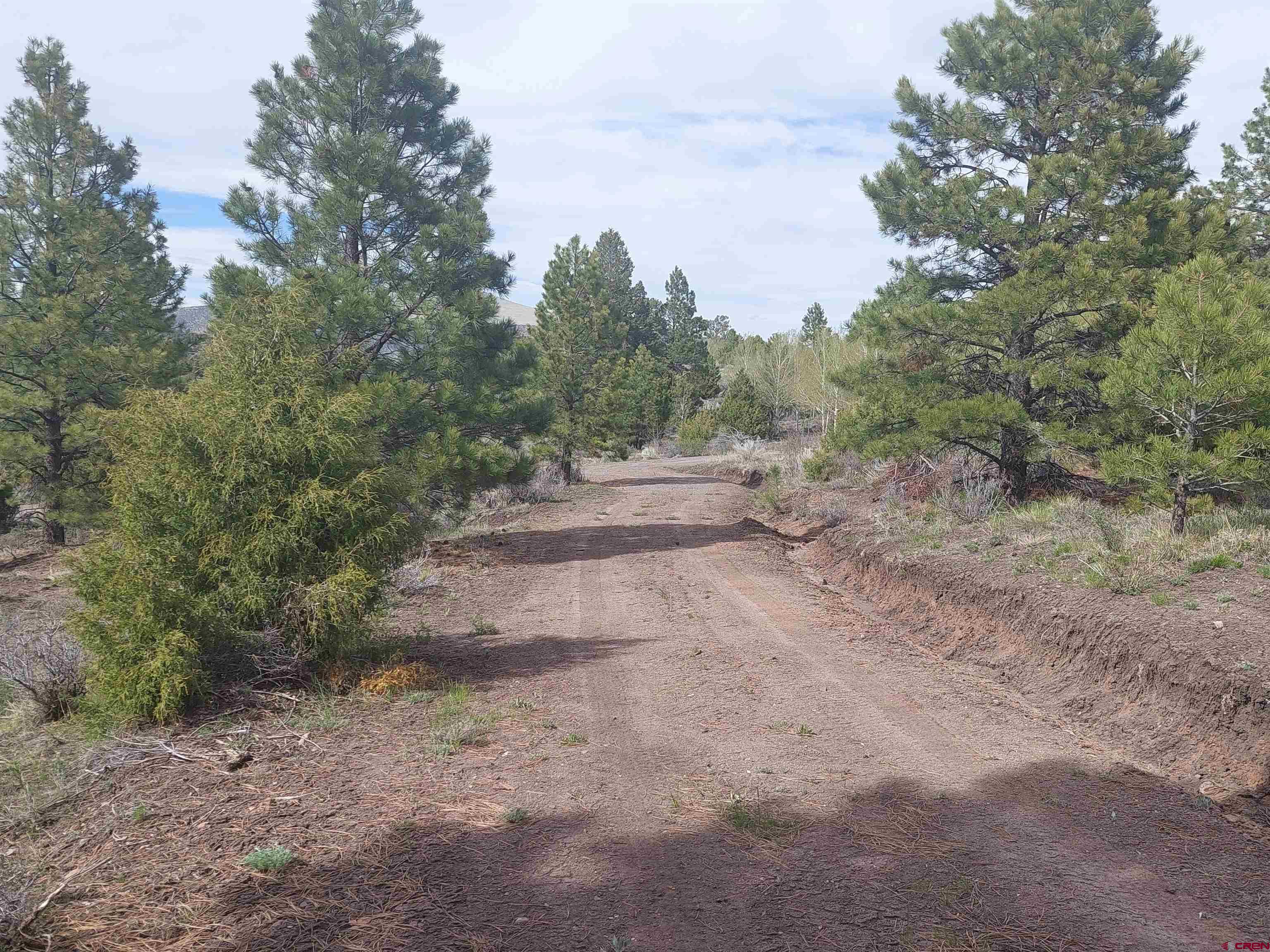 1195 Rito Hondo Road Antonito, CO 81120 - Photo 14 of 23 a view of outdoor space with trees all around
