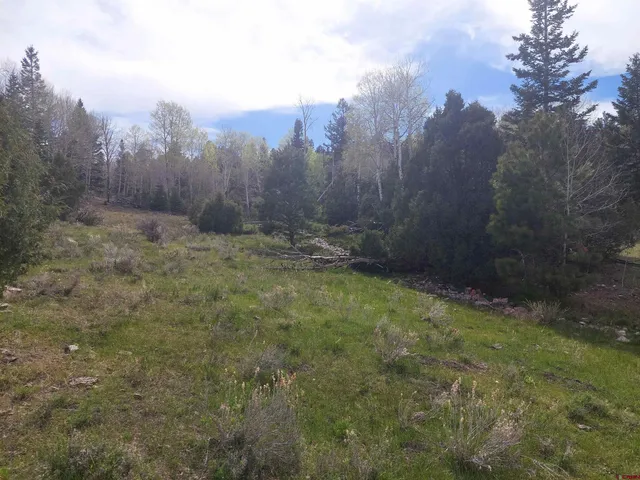 a view of a yard with trees in the background