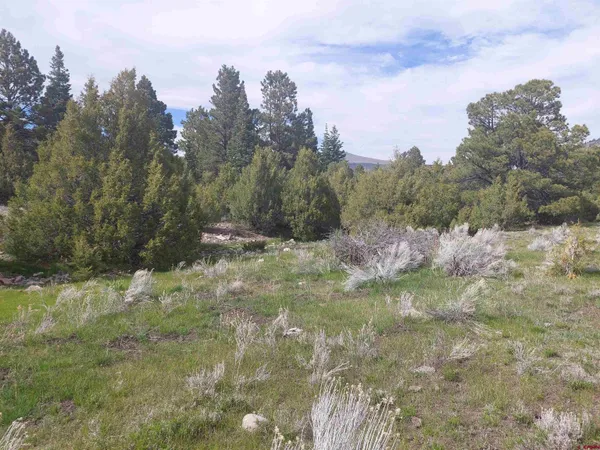 a view of outdoor space and trees