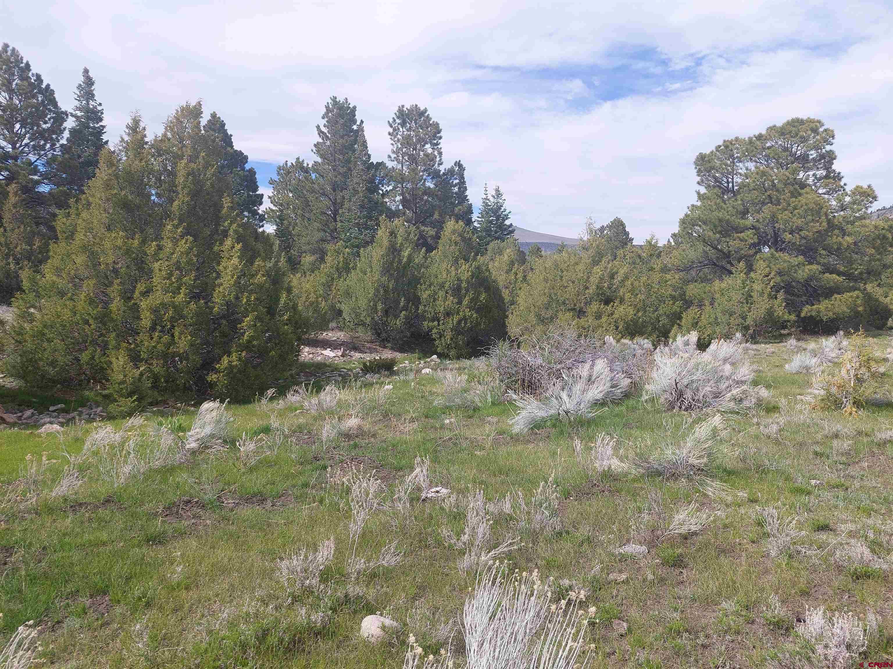 1195 Rito Hondo Road Antonito, CO 81120 - Photo 17 of 23 a view of outdoor space and trees
