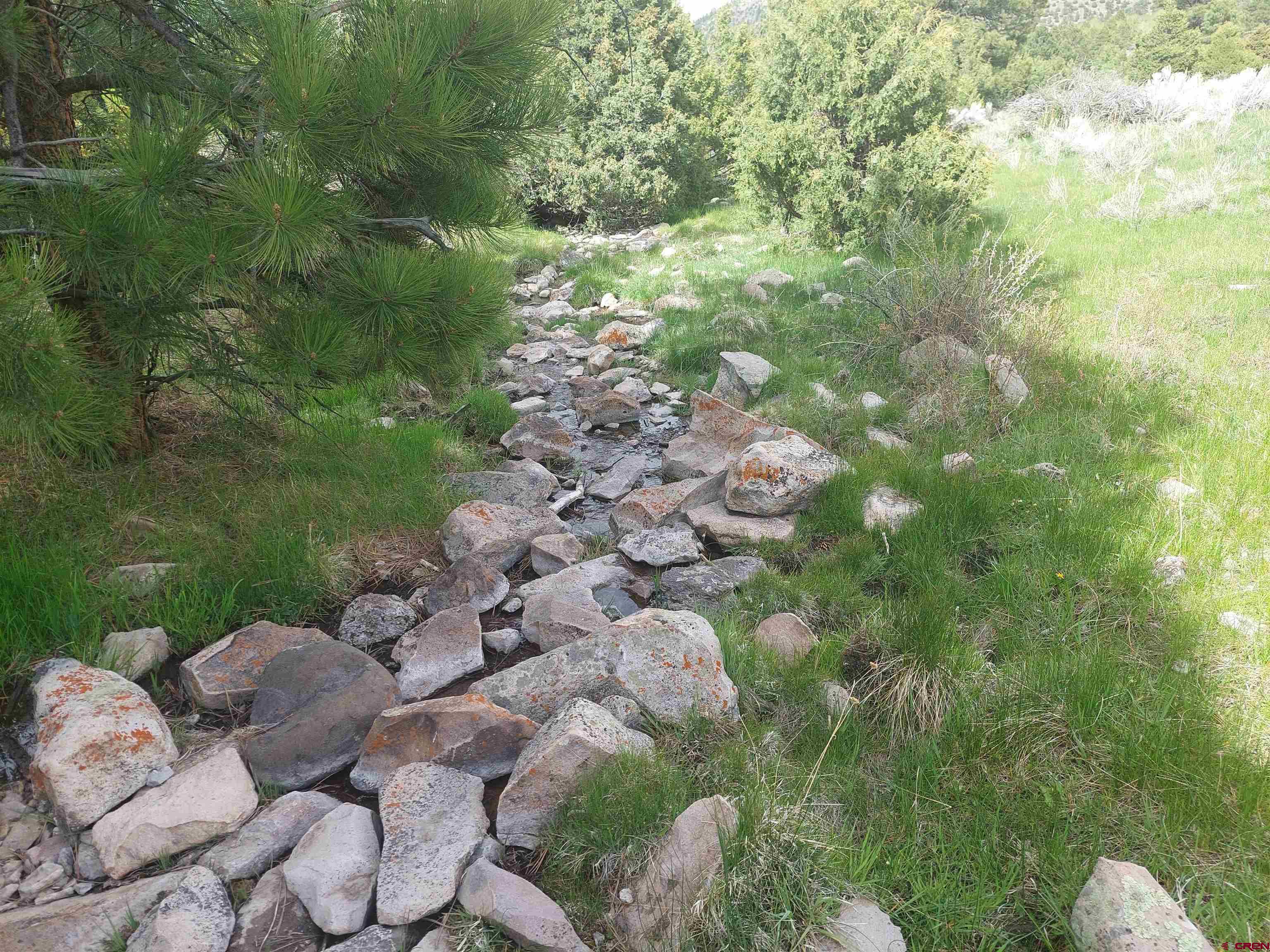 1195 Rito Hondo Road Antonito, CO 81120 - Photo 18 of 23 a backyard of a house with lots of green space