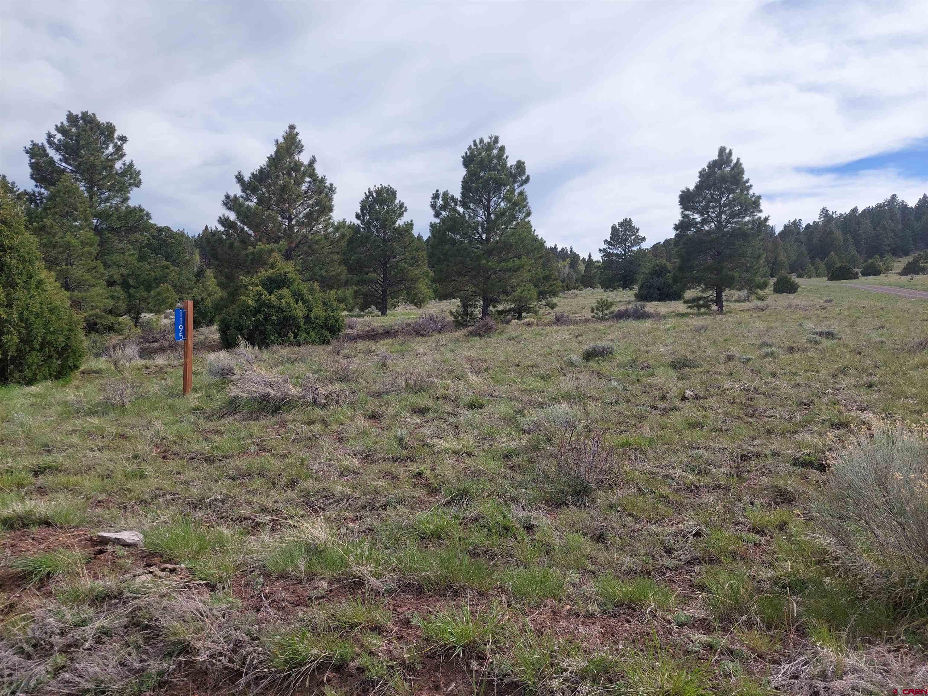 1195 Rito Hondo Road Antonito, CO 81120 - Photo 2 of 23 a view of empty field with trees in background