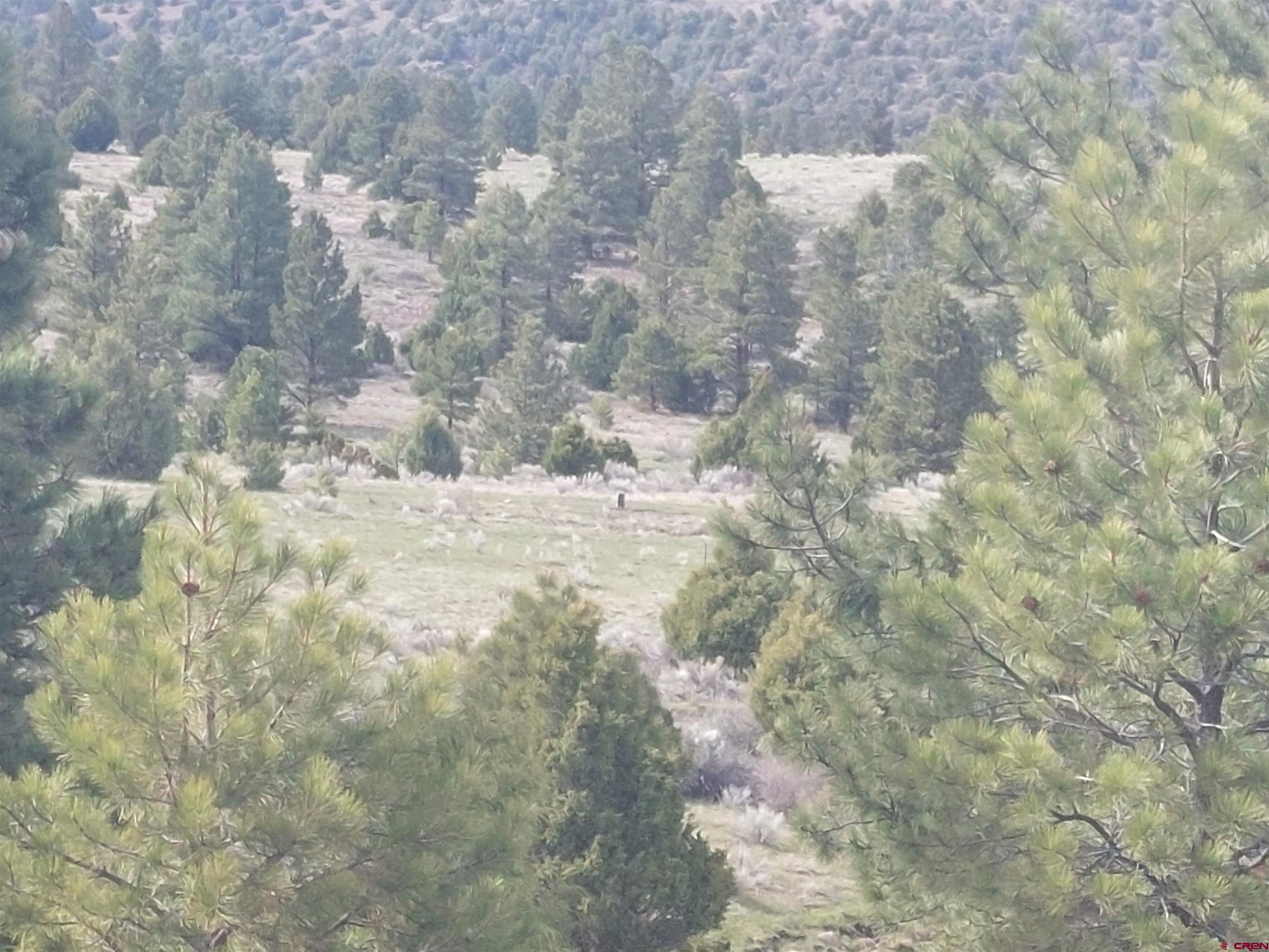 1195 Rito Hondo Road Antonito, CO 81120 - Photo 21 of 23 a view of a yard