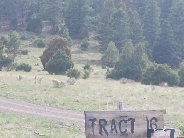 a view of wooden fence in front of house
