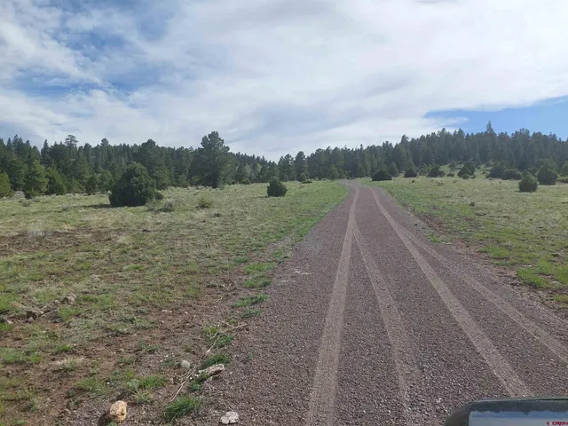 a view of an outdoor space and a yard