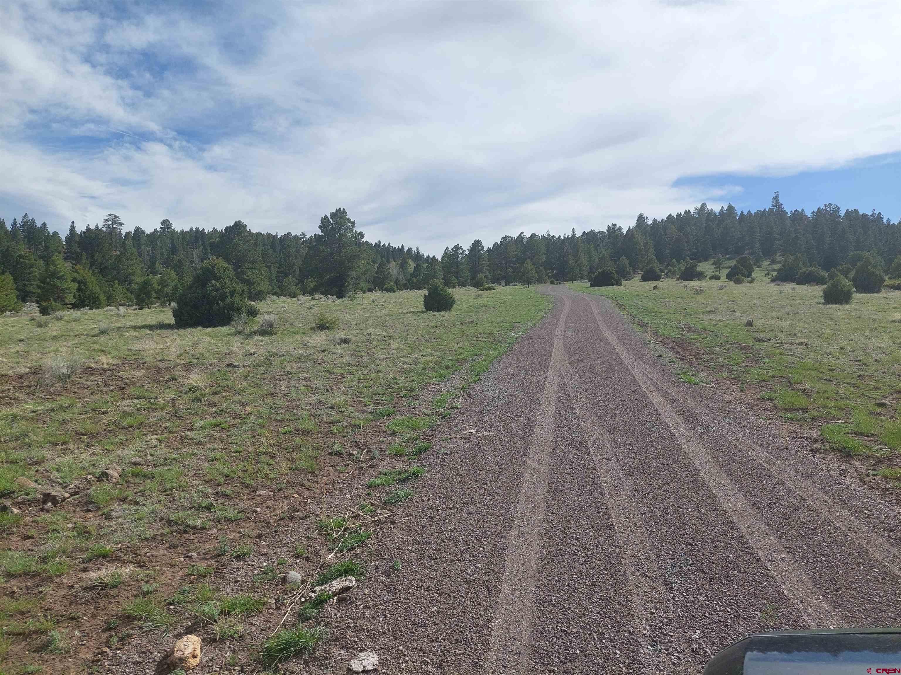 1195 Rito Hondo Road Antonito, CO 81120 - Photo 5 of 23 a view of an outdoor space and a yard