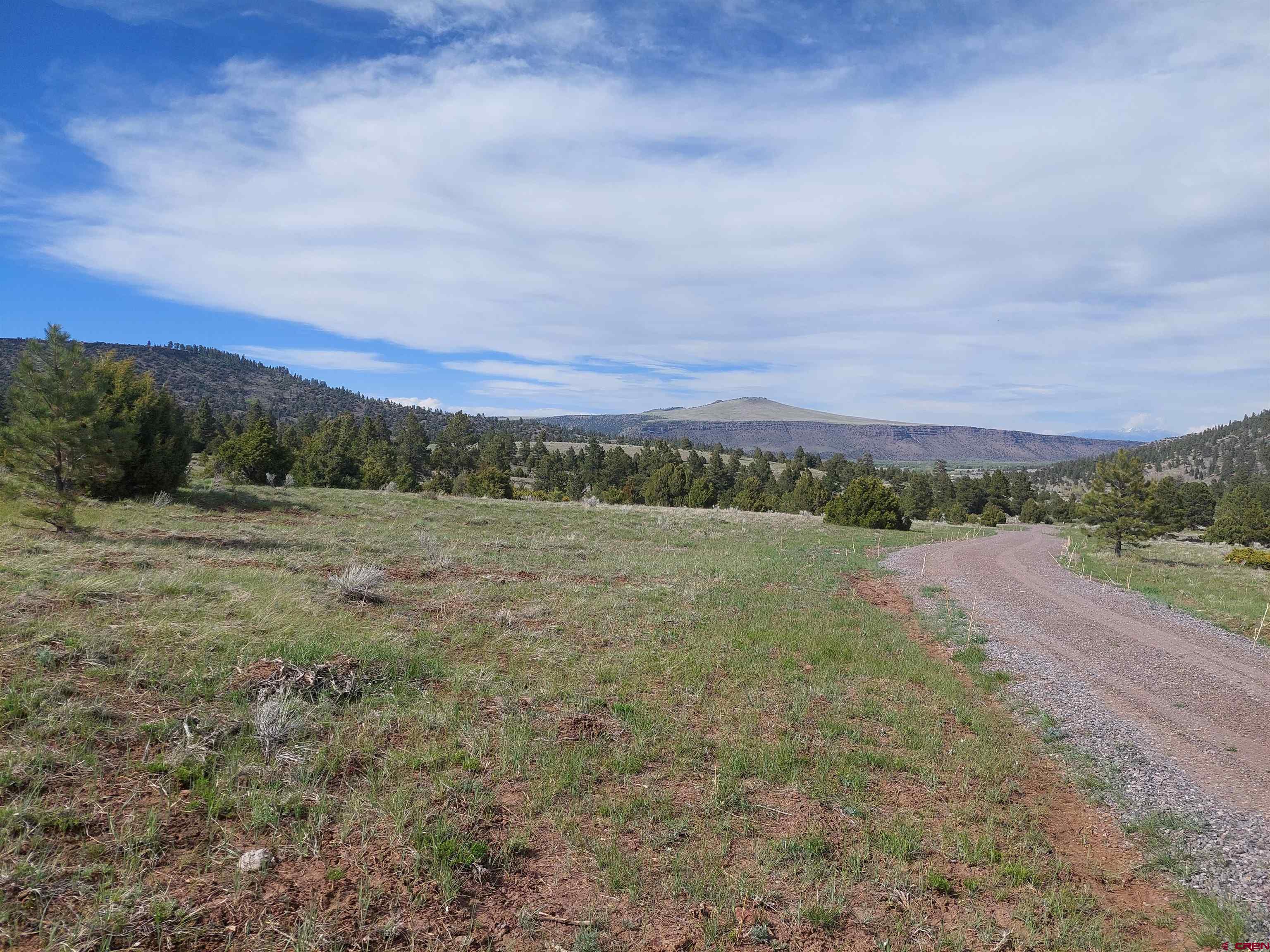 1195 Rito Hondo Road Antonito, CO 81120 - Photo 10 of 23 a view of a field with an ocean