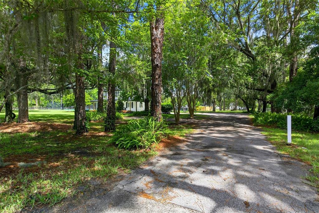 12936 Broleman Road Orlando, FL 32832 - Photo 82 of 82