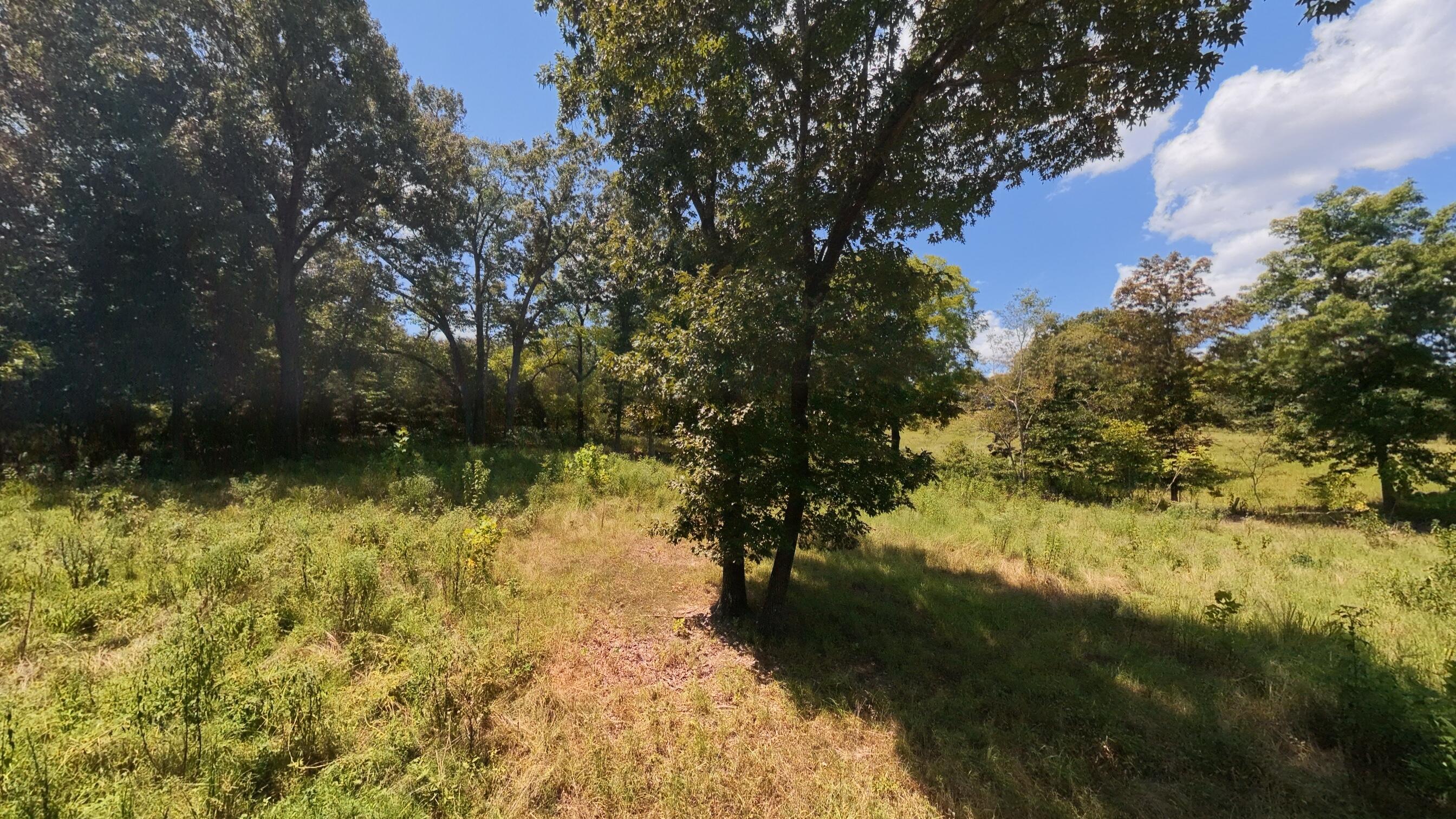 0 Bamber Street Mammoth Spring, AR 72554 - Photo 24 of 39 32+_- Acres022