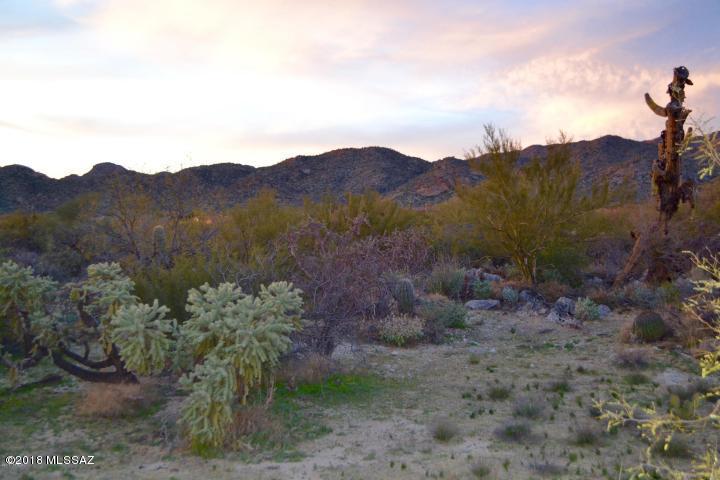 Xx Xx Xx Circle Tucson, AZ 85755 - Photo 4 of 6