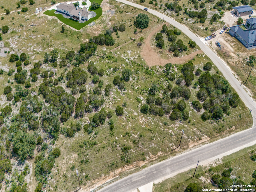 Lot 38 Sabinas Creek Ranch Boerne, TX 78006 - Photo 7 of 13 a view of a forest that has a tree