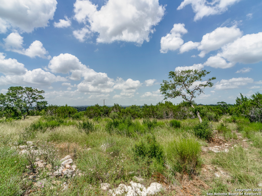 Lot 38 Sabinas Creek Ranch Boerne, TX 78006 - Photo 9 of 13 a view of a bunch of trees in background