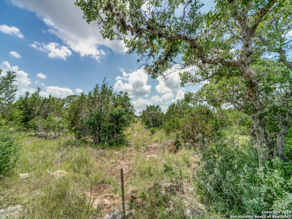 Lot 38 Sabinas Creek Ranch Boerne, TX 78006 - Photo 10 of 13 a view of a bunch of trees