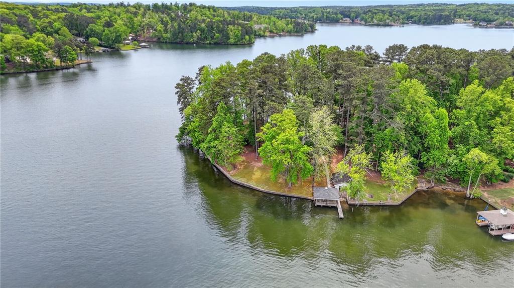 149 Pine Bluff Trail Jackson, GA 30233 - Photo 1 of 59 an aerial view of a house with outdoor space lake view and boat