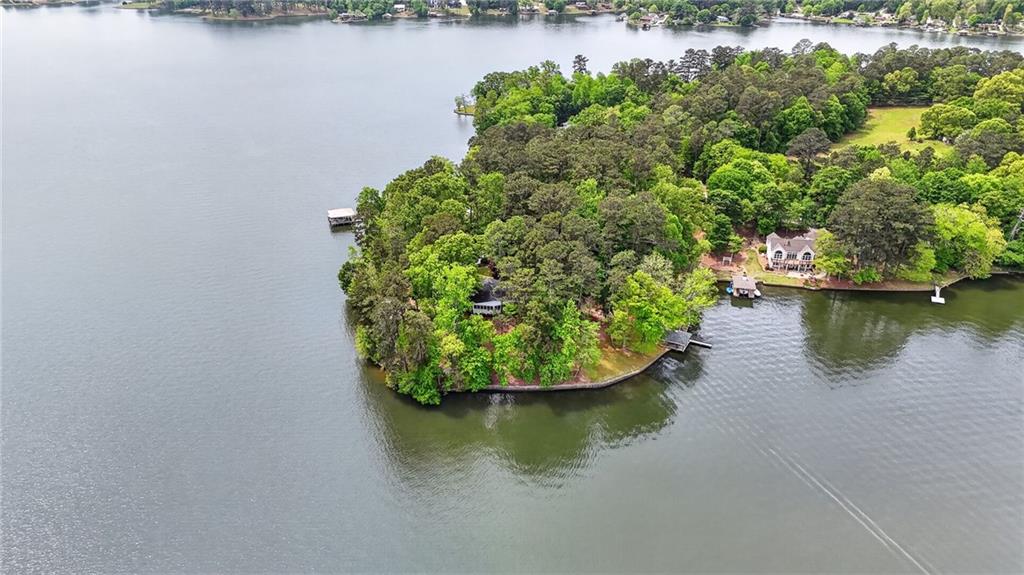 149 Pine Bluff Trail Jackson, GA 30233 - Photo 5 of 59 an aerial view of a house with a yard and lake view