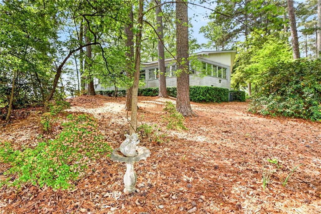 149 Pine Bluff Trail Jackson, GA 30233 - Photo 53 of 59 a view of a yard with plants and trees