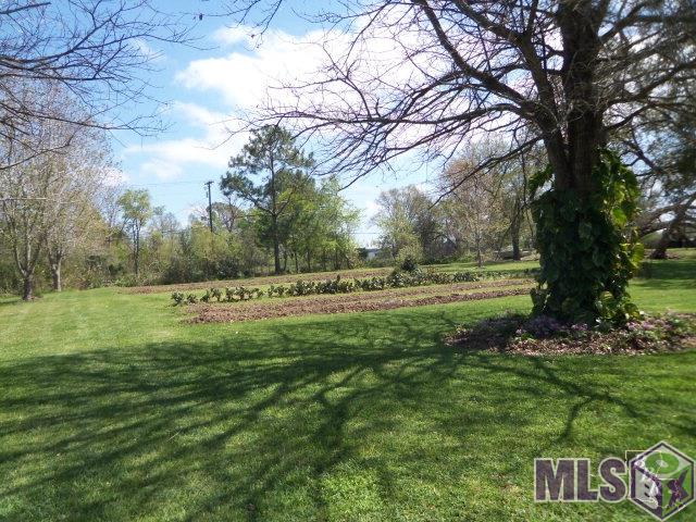1641 Dr Beatrous Road Theriot, LA 70397 - Photo 3 of 16 Gallery Image 3