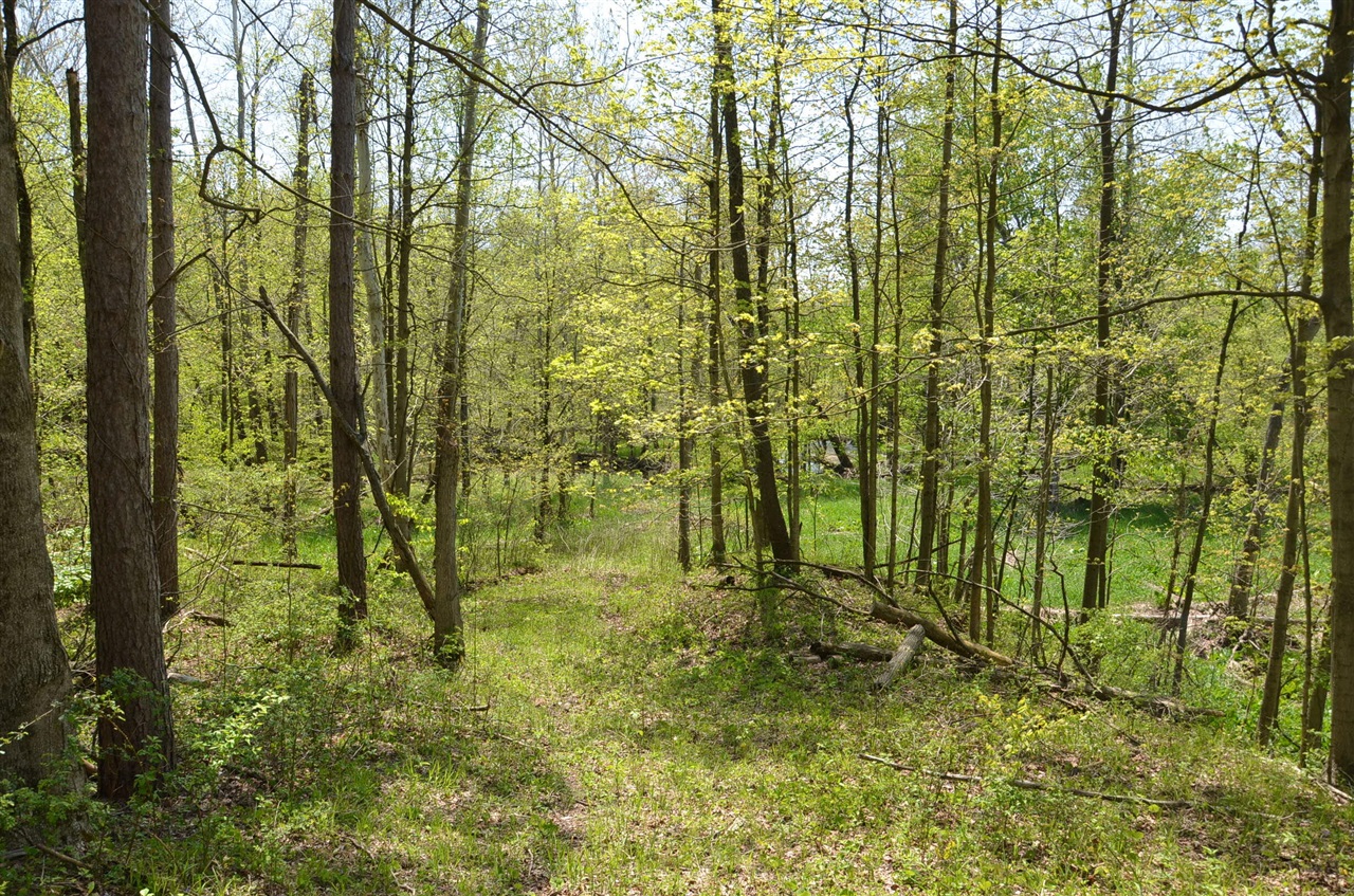 2255 River Road Hastings, MI 49058 - Photo 58 of 94