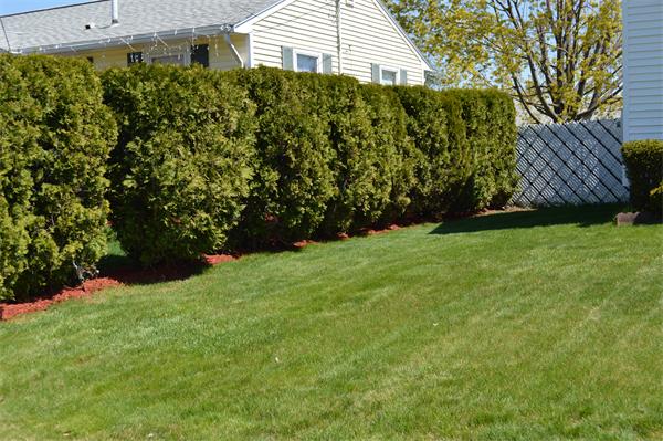 8 Oakland Road Lawrence, MA 01843 - Photo 5 of 5 Gallery Image 5