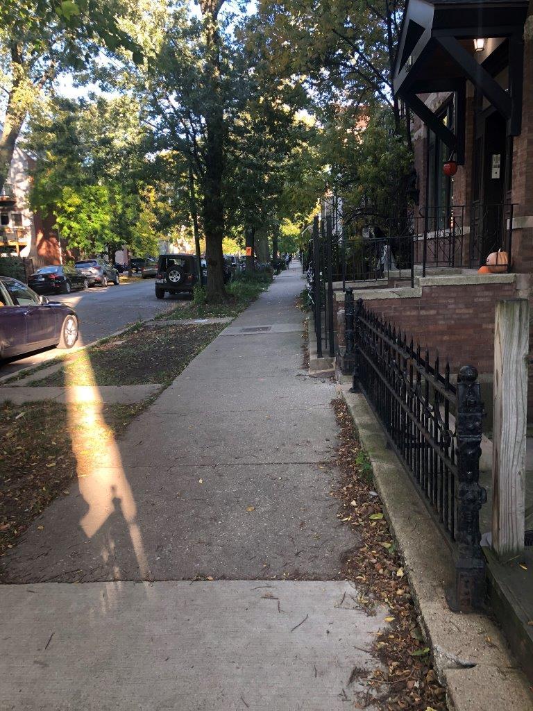 2245 West Shakespeare Avenue, Unit 2F Chicago, IL 60647 - Photo 25 of 25