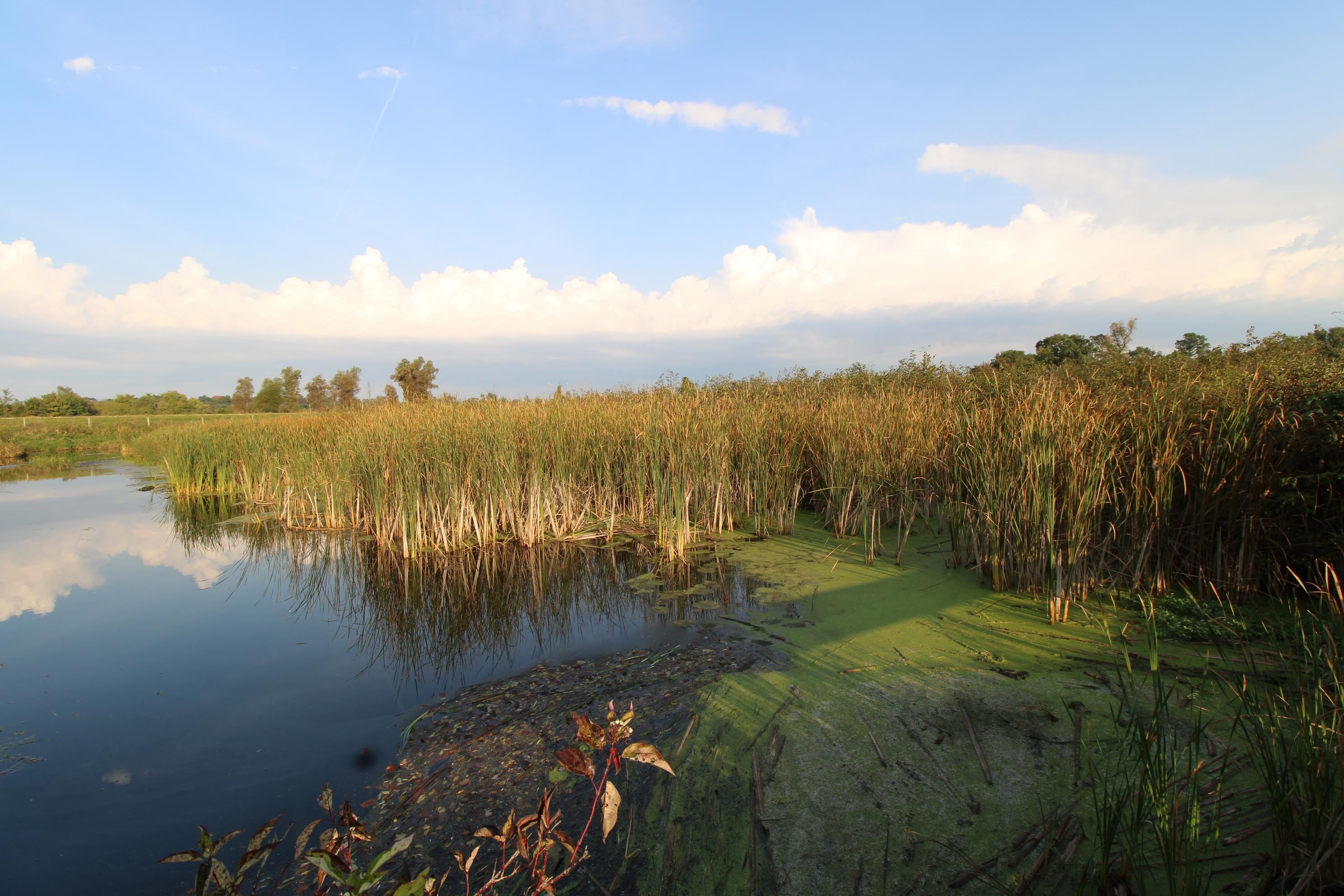 14.89-ac 14.89-ac 7th Montello, WI 53949 - Photo 1 of 13