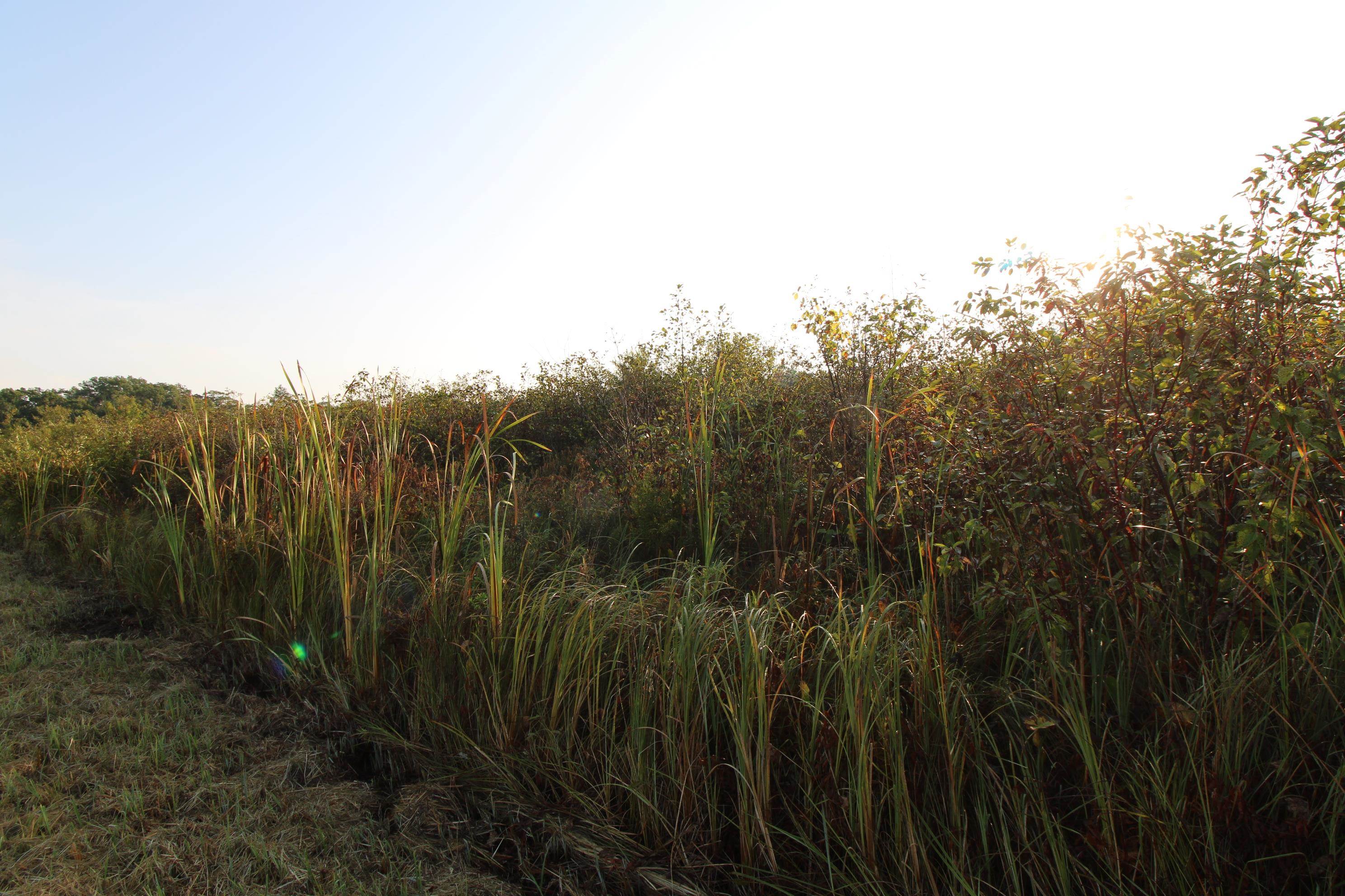 14.89-ac 14.89-ac 7th Montello, WI 53949 - Photo 11 of 13